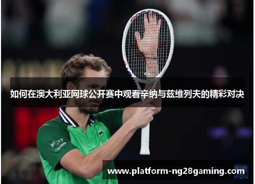 如何在澳大利亚网球公开赛中观看辛纳与兹维列夫的精彩对决