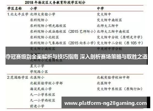 夺冠赛级别全面解析与技巧指南 深入剖析赛场策略与取胜之道