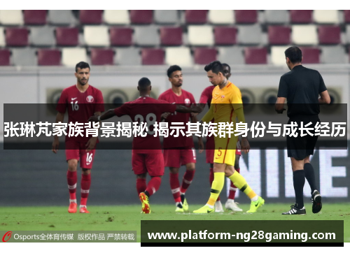 张琳芃家族背景揭秘 揭示其族群身份与成长经历