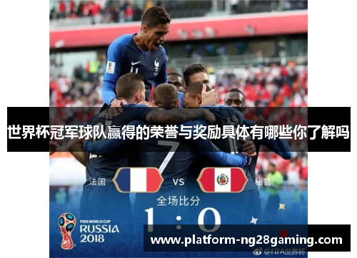 世界杯冠军球队赢得的荣誉与奖励具体有哪些你了解吗 世界杯冠军球队赢得的荣誉与奖励具体有哪些你了解吗