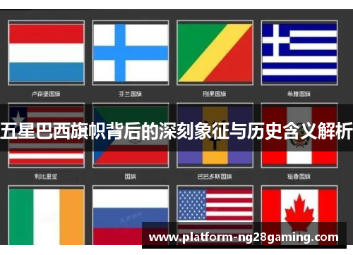 五星巴西旗帜背后的深刻象征与历史含义解析