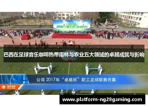 巴西在足球音乐咖啡热带雨林与农业五大领域的卓越成就与影响