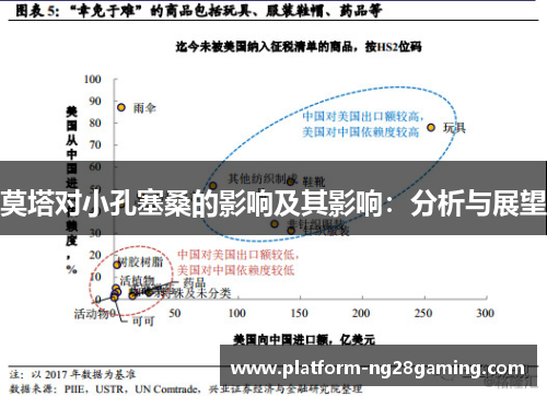 莫塔对小孔塞桑的影响及其影响：分析与展望