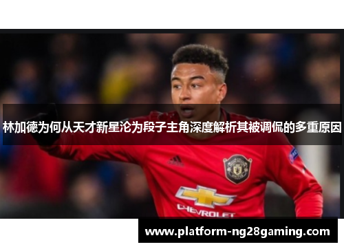林加德为何从天才新星沦为段子主角深度解析其被调侃的多重原因