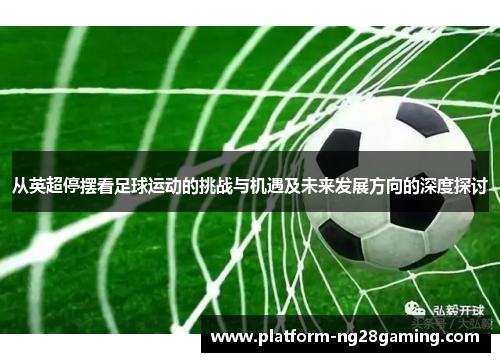 从英超停摆看足球运动的挑战与机遇及未来发展方向的深度探讨