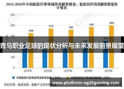 青岛职业足球的现状分析与未来发展前景展望