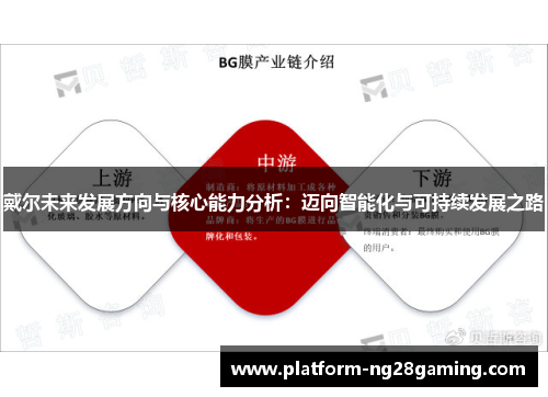 戴尔未来发展方向与核心能力分析：迈向智能化与可持续发展之路