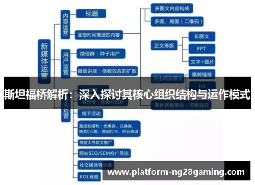 斯坦福桥解析：深入探讨其核心组织结构与运作模式