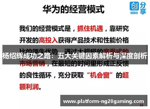 杨绍辉成功之路：五大关键因素解析与深度剖析