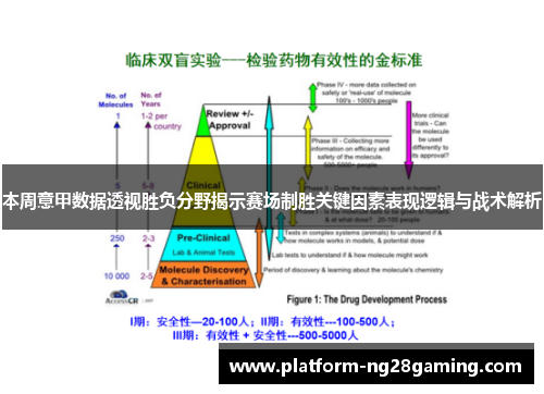 本周意甲数据透视胜负分野揭示赛场制胜关键因素表现逻辑与战术解析