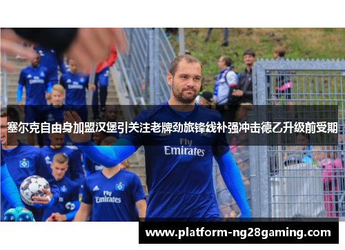 塞尔克自由身加盟汉堡引关注老牌劲旅锋线补强冲击德乙升级前受期