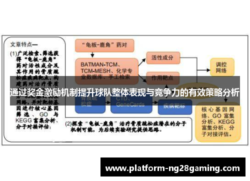通过奖金激励机制提升球队整体表现与竞争力的有效策略分析